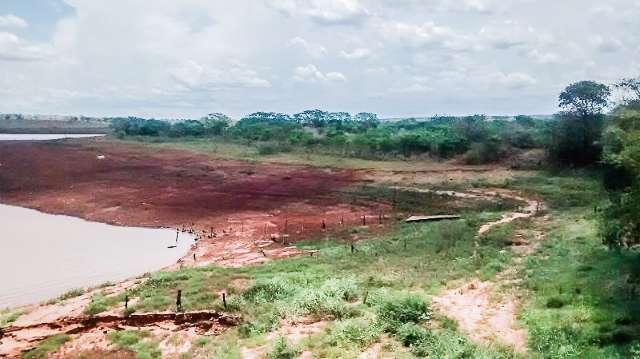 Estiagem do rio Paran&aacute; compromete produ&ccedil;&atilde;o de peixes e gado de MS