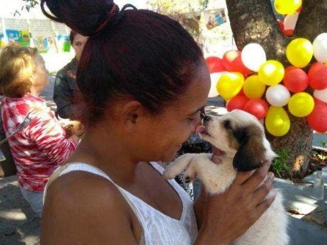 Centro de Controle de Zoonoses faz feira de ado&ccedil;&atilde;o de c&atilde;es e gatos amanh&atilde;