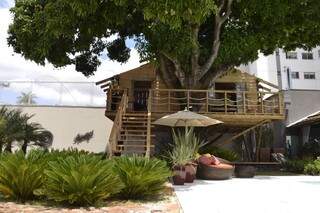 Casa da árvore tem estrutura na mangueira. (Foto: Minamar Júnior)