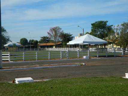 Expositores já estão instalando suas tendas na 37ª Expotrês