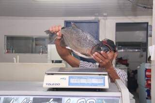 Pacu é uma das opções mais procuradas nas peixarias, e o peixe inteiro pode custar a partir de R$ 9,95 o kg. (Foto: Alan Nantes)