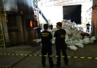 Foram incinerados 11,9 toneladas de maconha e 669 quilos de cocaína. (Foto: Divulgação)