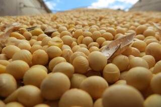 Pouca comercialização antecipada pode gerar problemas na colheita da soja. (Foto: Divulgação/Famasul)