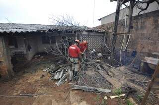 Bombeiros retiram árvore que atingiu residência na Vila Progresso (Foto: Marcelo Calazans)