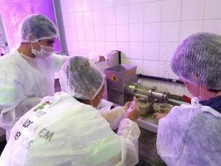 Pesquisadores usaram os equipamentos mais baratos de processamento de carne existentes no mercado (Foto: divulgação)