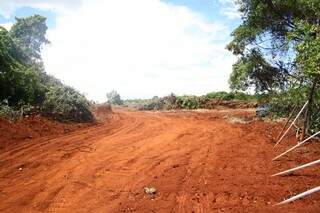 O ambientalista contou que serão 460 hectares desmatados (Foto: Marcos Ermínio)