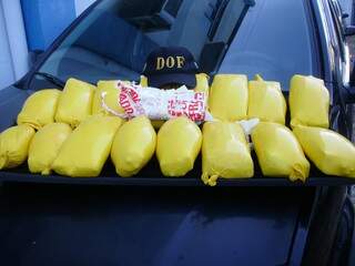 Foram encontrados 17 tabletes de cocaína. (Foto: Divulgação)