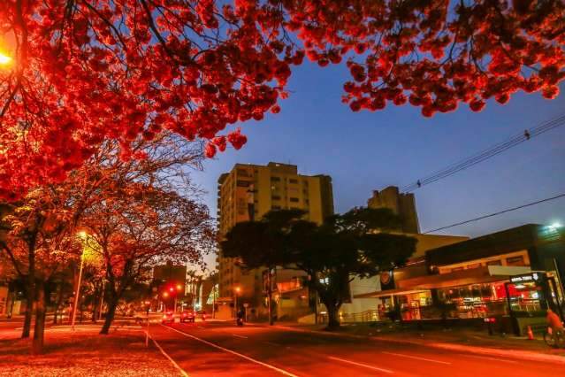 Sexta-feira de tempo claro na Capital, mas deve chover na região Sul de MS