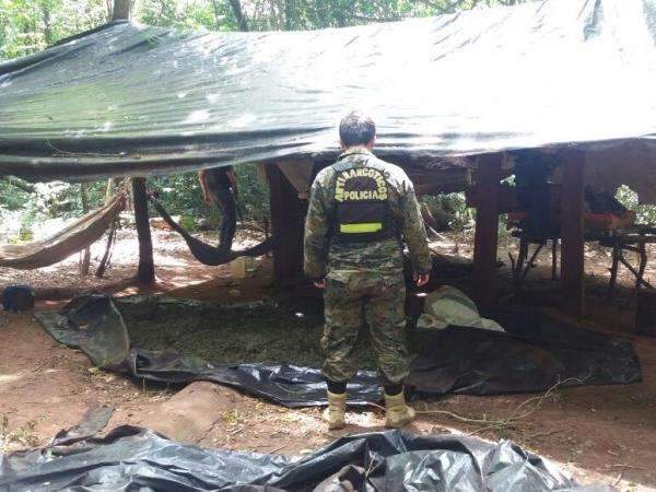 Paraguai descobre mais uma lavoura de maconha na fronteira com MS