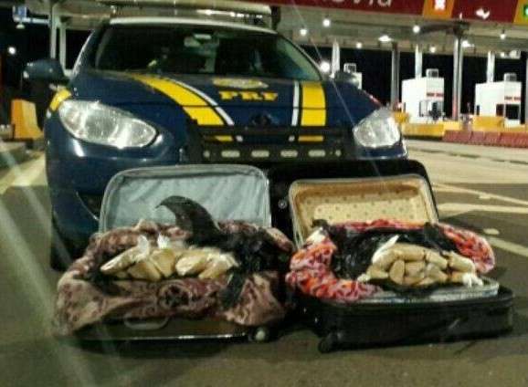 Bab&aacute; percorre 400 Km com malas cheias de maconha, mas cai em fiscaliza&ccedil;&atilde;o 