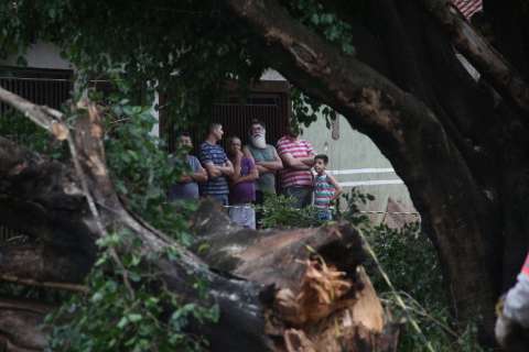 Árvore cai e deixa família isolada em casa por quase cinco horas