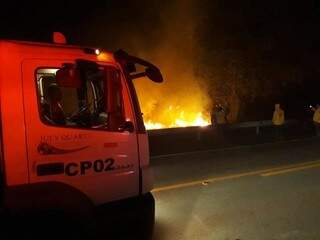Brigadistas do Prevfogo tentam combater chamas (Foto: Divulgação)
