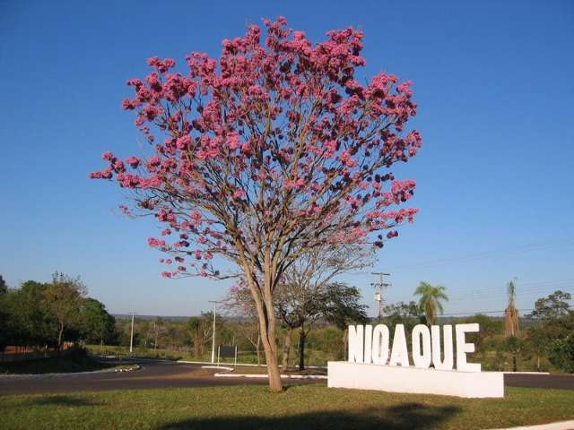 Nioaque comemora 124 anos com 2&ordm; Festival Retirada da Laguna