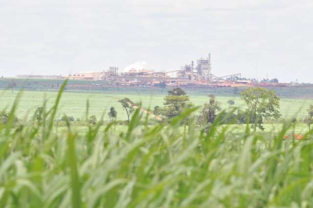 Apesar de clima, safra de cana deve crescer de 18,3% este ano no Estado