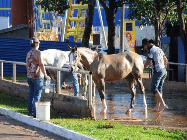 Com entrada gratuita, Expogrande abre edi&ccedil;&atilde;o n&uacute;mero 80 nesta 5&ordf;