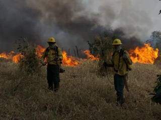 Brigadistas durante combate à queimadas na Terra Indígena Kadiwéu, em Porto Murtinho (Foto: Divulgação/Prevfogo)