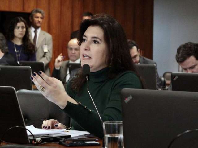 &quot;Mais r&aacute;pido e barato&quot;, diz Simone sobre rota de integra&ccedil;&atilde;o Latino Americana
