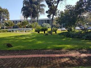 Sede do TJMS, no Parque dos Poderes, em Campo Grande. (Foto: Leonardo Rocha).