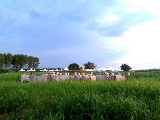 Encontro re&uacute;ne 19 centros de pesquisa agropecu&aacute;ria em Campo Grande
