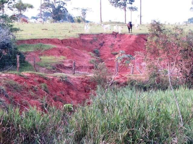 Fazendeiro destr&oacute;i &aacute;rea de prote&ccedil;&atilde;o ambiental e &eacute; multado em R$ 127 mil