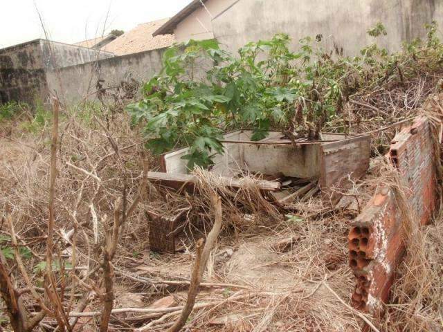 Terreno abandonado preocupa moradores do Coronel Antonino