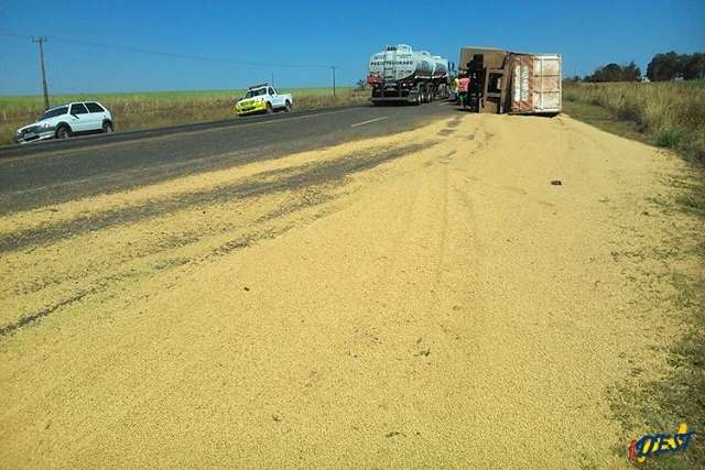 Carreta tomba e 25 toneladas de soja s&atilde;o espalhadas pela rodovia 