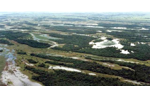 Bacia do Rio Paran&aacute; em MS tamb&eacute;m tem o seu &quot;Pantanal&quot;