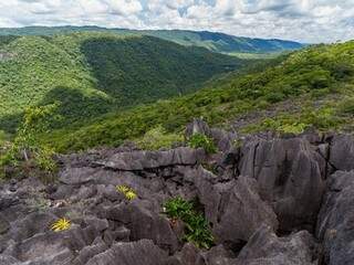Maior parte do Parque Nacional de Serra da Bodoquena é coberta por vegetação de Mata Atlântica (Foto: Divulgação/Prefeitura de Bonito)