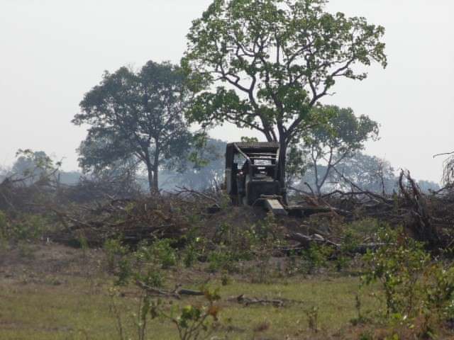 Fazendeiro &eacute; multado em R$ 1,5 mi por desmatamento de 1,5 mil hectares 