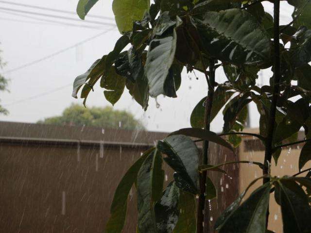 Dourados tem chuva forte com trovoadas e temperatura pode diminuir