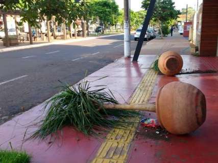Vândalos espalham lixo e destroem plantas perto de lanchonete em Dourados