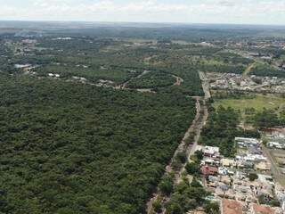 Parque dos Poderes protagoniza impasse sobre desmatamento de área. (Foto: Gabriel Marchese)