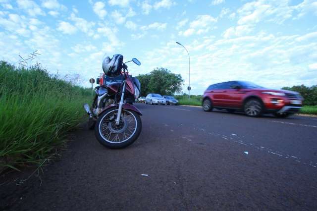  Duas capivaras morrem atropeladas e motociclista fica ferido em acidente 