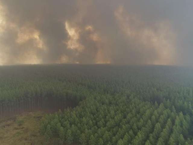 Inc&ecirc;ndio florestal que durou 10h consumiu pelo menos mil hectares