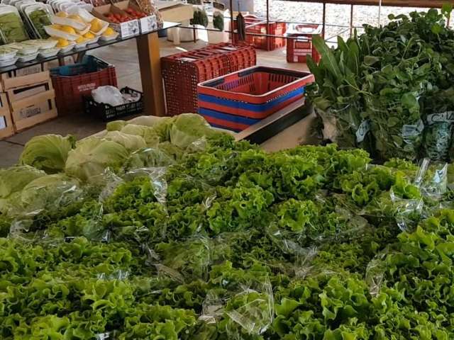 Espetinho j&aacute; era, agora moda &eacute; abrir frutaria nos bairros