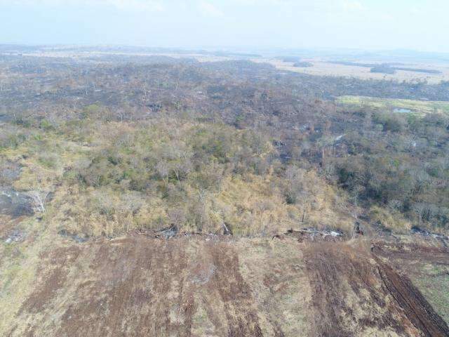 Fazendeiro &eacute; multado em R$ 224 mil por desmatamento e inc&ecirc;ndio 
