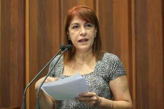 Silvia Hafez, servidora da Agepan, foi até o legislativo pedir apoio dos deputados para aprovação do PCC (Foto: Assessoria - Giuliano Lopes  