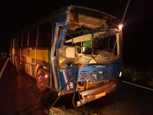 Para evitar bater em anta, condutor freia, mas &eacute; atingido por &ocirc;nibus 