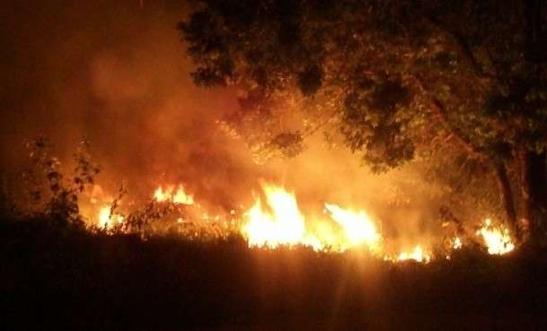 Inc&ecirc;ndio em Aquidauana atingiu terreno vizinho a parque, diz bombeiro