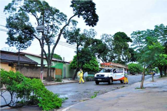 Vento de 45 km por hora derruba &aacute;rvores e deixa cidade sem energia
