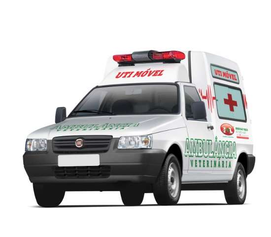 Campo Grande recebe 1&ordm; ambul&acirc;ncia UTI m&oacute;vel para animais, a 3&ordm; do pa&iacute;s