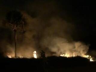 Bombeiros contiveram o fogo que tomou conta da área (Foto: reprodução/vídeo)