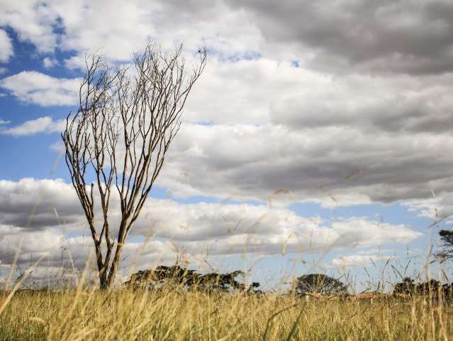 Inverno de 2019 deve ser quente e com recorde de queimadas em MS