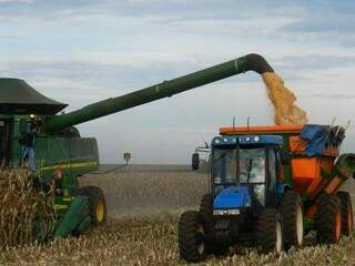 Colheita do milho no Estado começou na última semana de junho. (Foto: Famasul/ Divulgação)