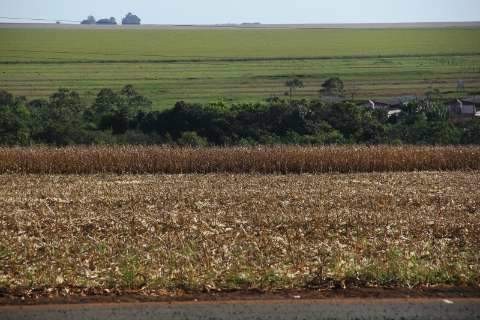 Palestra orienta agricultores sobre a influência do clima na safra de grãos