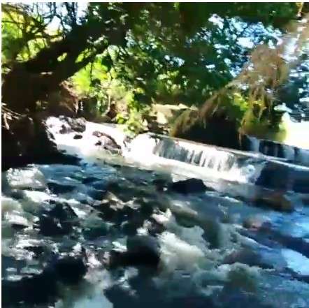 Grupo de frequentadores da Cachoeira C&eacute;uzinho mobiliza mutir&atilde;o de limpeza 