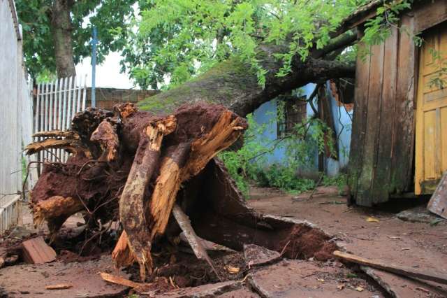 Idosa que teve casa destru&iacute;da por &aacute;rvore improvisa moradia e pede doa&ccedil;&otilde;es