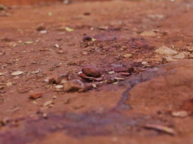 Acusado de matar homem a facadas no S&atilde;o Conrado vai a J&uacute;ri Popular