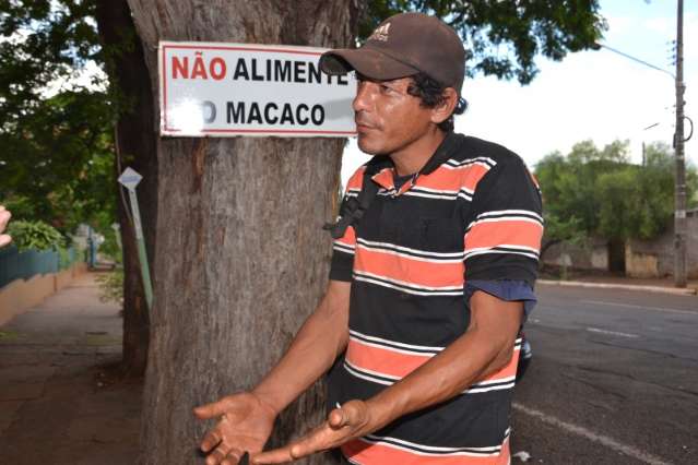 Placa e macaco em &aacute;rvore s&atilde;o mist&eacute;rio no bairro Amamba&iacute;