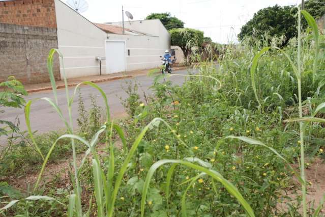 Mato alto toma conta do Bairro Parati e moradores cobram prefeitura
